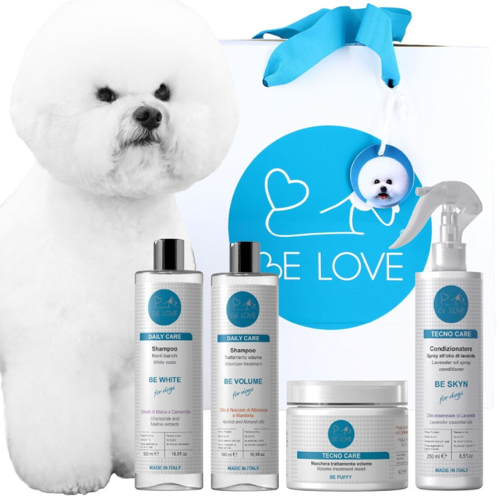 Kit Bichon frise' Pro- BE LOVE