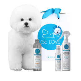 Kit bichon frise' base- BE LOVE