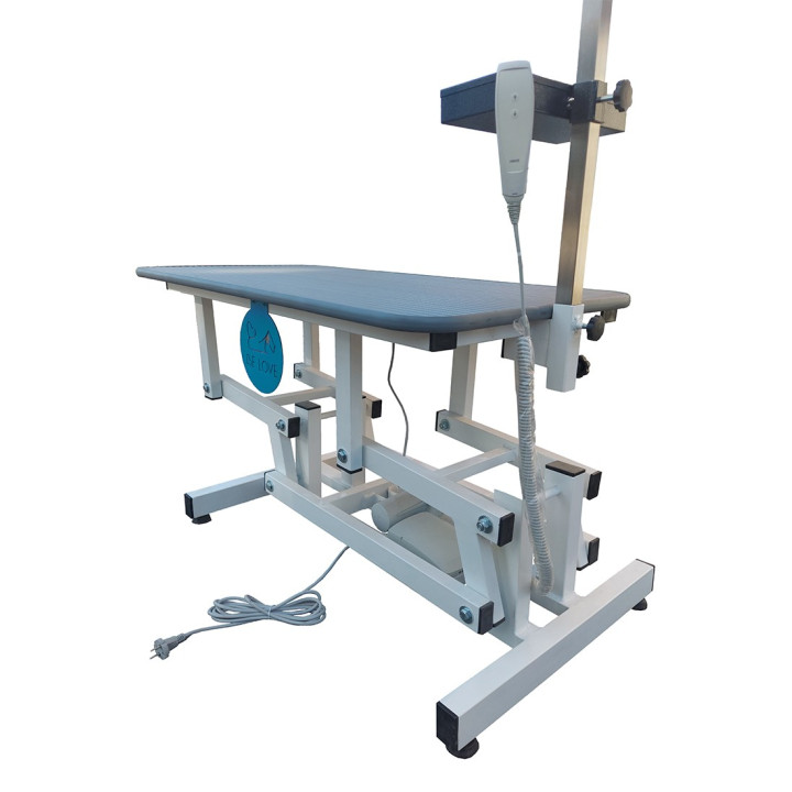 Be Love Electric Grooming Table