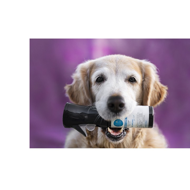 Be Argan siero nutriente e lucidante all'olio di Argan per cani- BE LOVE