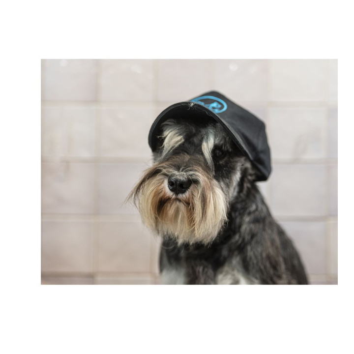 Spazzola cardatore cani short pins- BE LOVE