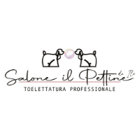 logo Il Pettine